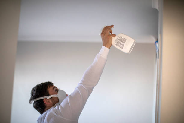Best Home Mold Removal  in Lubbock, TX