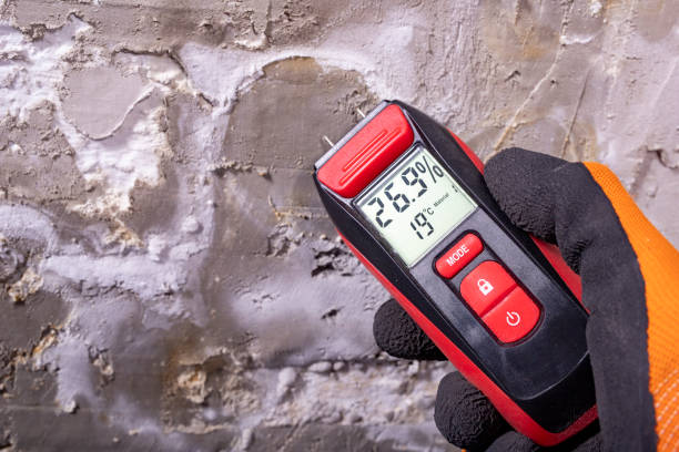 Best Mold Remediation  in Lubbock, TX