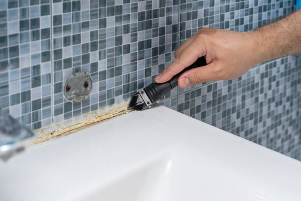 Trusted Lubbock, TX Mold Removal Experts